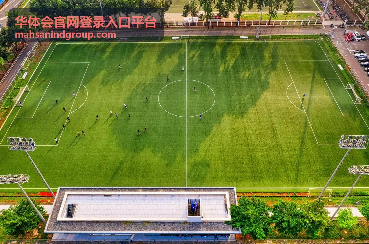18年世界杯冰岛排名：首次参赛的维京战吼与第28名