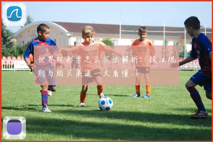 世界杯彩票怎么买法解析:投注规则与购买渠道一文看懂_1
