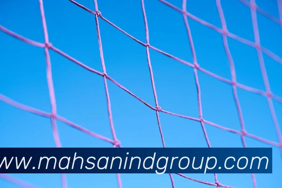 买球官方平台生态图